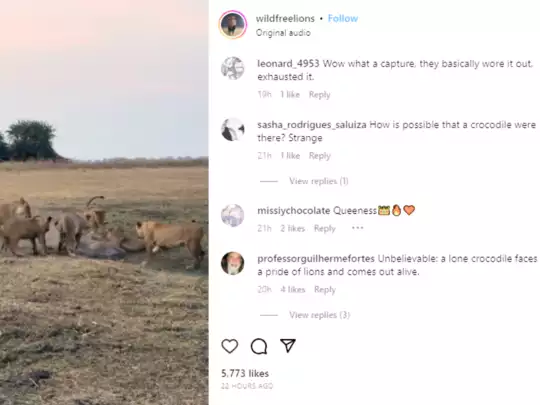 Comments On Post Comments On Post