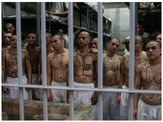 Collage Maker-13-Oct-2023-07-06-PM-7259 Collage Maker-13-Oct-2023-07-06-PM-7259