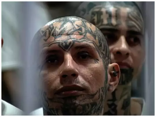 Collage Maker-13-Oct-2023-07-07-PM-3527 Collage Maker-13-Oct-2023-07-07-PM-3527