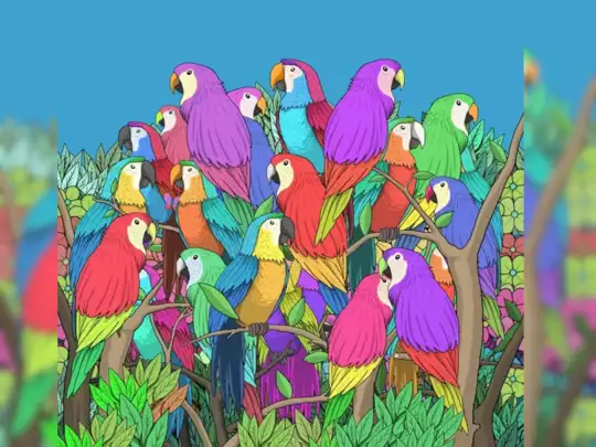 पहले तस्वीर समझिए... पहले तस्वीर समझिए...