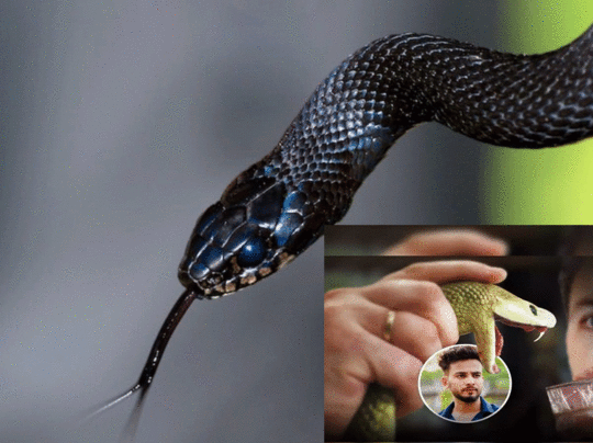 विडियो की कराई जा रही जांच विडियो की कराई जा रही जांच