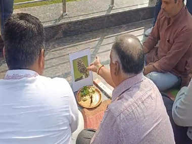 Shahjahanpur Owl Puja News Shahjahanpur Owl Puja News