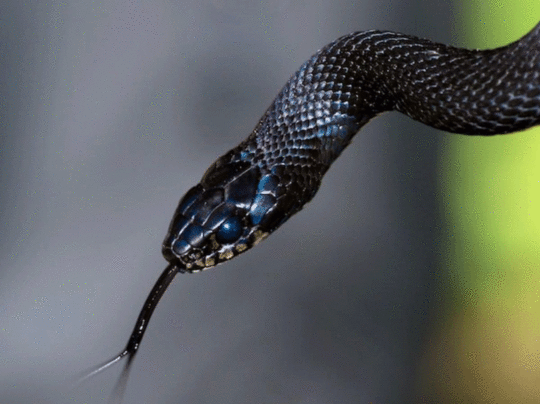 पुलिस कह रही जांच की बात पुलिस कह रही जांच की बात