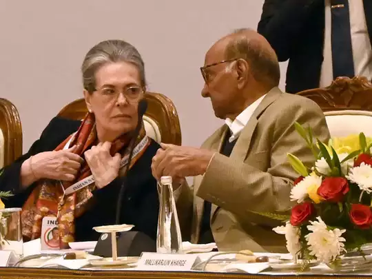 सोनिया-पवार में क्या गुफ्तगू? सोनिया-पवार में क्या गुफ्तगू?